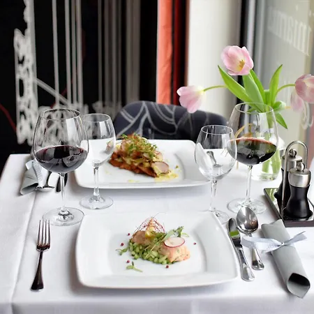 Hotel Zamek Centrum