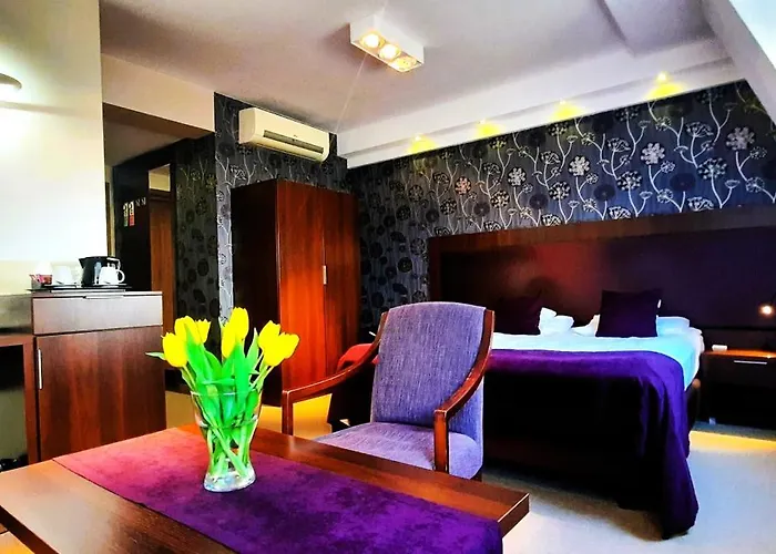 Готель Zamek Centrum 4*